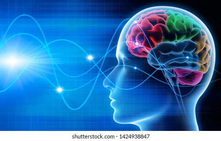 Secrets of Unlocking Calm: Alpha Waves